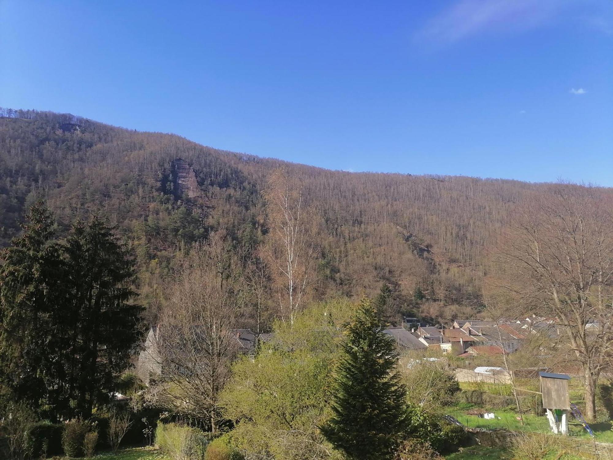 Chez Many, Par Fred Et Henri Bed & Breakfast Montherme Exterior photo